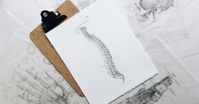 The Importance of Spinal Health for Overall Wellness